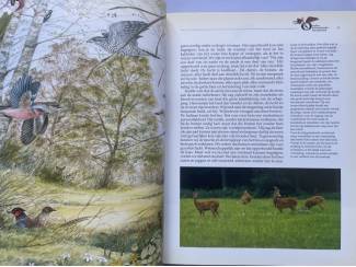 Flora en Fauna Dichter bij de natuur - Bos, heide en parklandschap