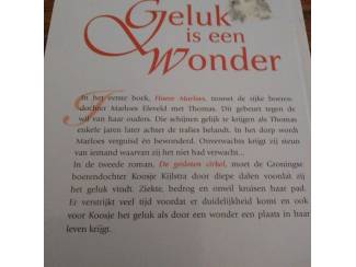 Literatuur Henny Thijssing Boer