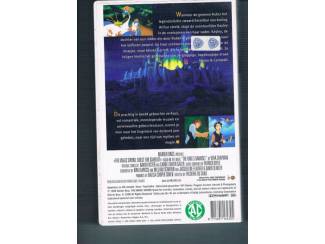 DVD's Video Het magische zwaard