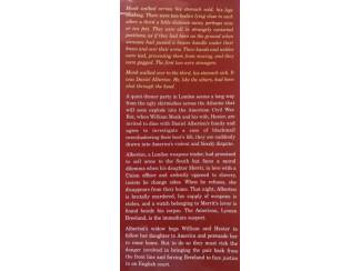 Romans Slaves and obsession - Anne Perry