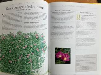 Hobby en Techniek De weekendtuinier - Susanna Longley