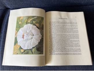 Sagen en Legenden Sprookjes en vertellingen Hans Christian Andersen