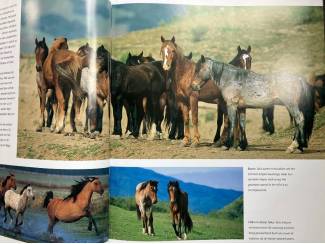 Flora en Fauna De kracht van paarden - Swinney