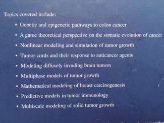 School- en Studieboeken Selected Topics in Cancer Modeling - Nicola Bellomo e.a.