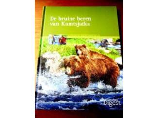 De bruine beren van Kamtsjatka