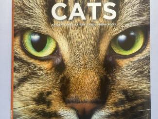 Flora en Fauna Cats Katzen Chats Katten Gatos Kocky