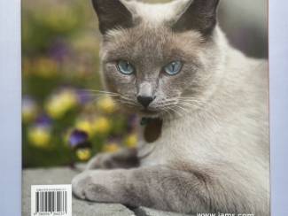 Flora en Fauna Cats Katzen Chats Katten Gatos Kocky