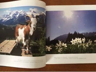 Reisboeken Steiermark - Gery Wolf, Reinhard P. Gruber