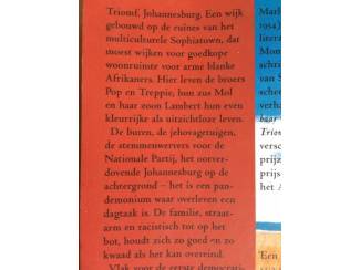 Romans Triomf - Marlene van Niekerk