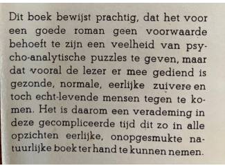 Romans Heuvings haardstee (Drente) - Joh. Hidding