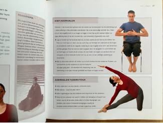 Spiritualiteit en Psychologie Yoga in 10 lessen - Kim Davies