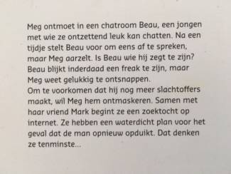 Jeugdboeken Het web - Joost Heyink