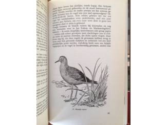 Flora en Fauna Vogels van wad en slik - M. de Jong