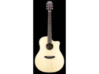 Snaarinstrumenten | Gitaren | Akoestisch Breedlove Dreadnought Plus, Persuit Series