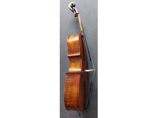 Strijkinstrumenten | Cello's Stentor Cello 4/4, ProSeries handmade Arcadia
