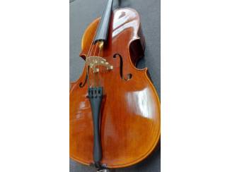 Strijkinstrumenten | Cello's Stentor Cello 4/4, ProSeries handmade Arcadia