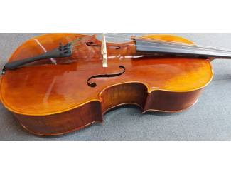 Strijkinstrumenten | Cello's Stentor Cello 4/4, ProSeries handmade Arcadia
