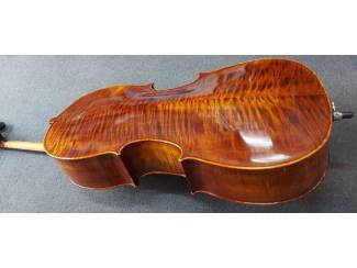 Strijkinstrumenten | Cello's Stentor Cello 4/4, ProSeries handmade Arcadia