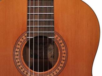 Snaarinstrumenten | Gitaren | Akoestisch Salvador Cortez CC-22-JR Student Series, KINDERMAAT