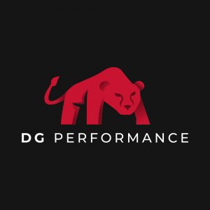 DG Performance