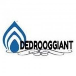 Dedrooggigant 