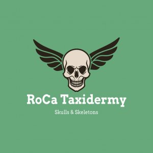 Roca Taxidermy