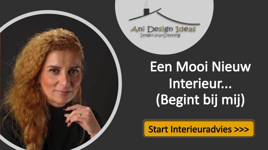Ani Design Ideas